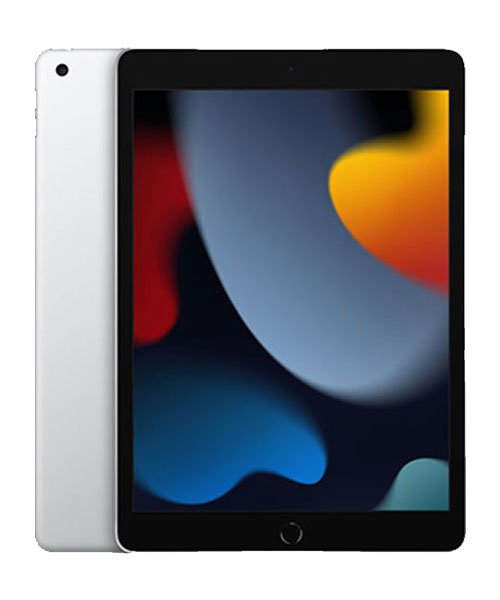 Apple iPad 10.2 9th Gen. (2021) 4G Silber 256GB